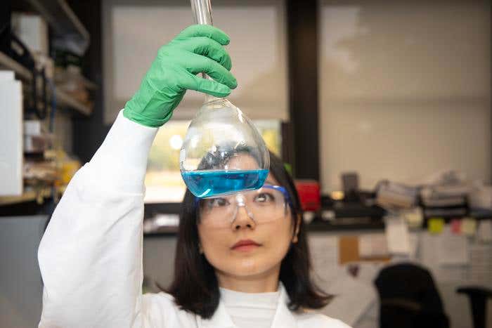 Blocking PTP1B in heart cells may stop heart failure linked to high-fat diets and obesity.