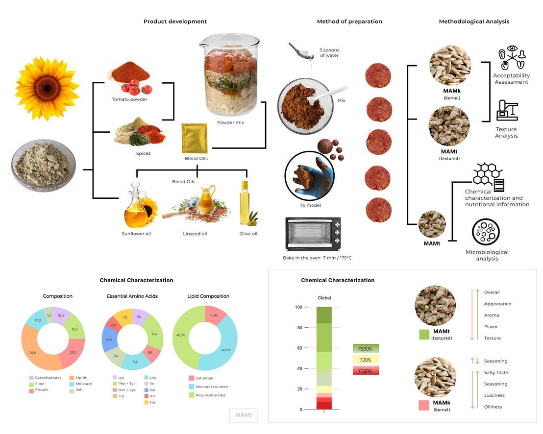 Graphical abstract.