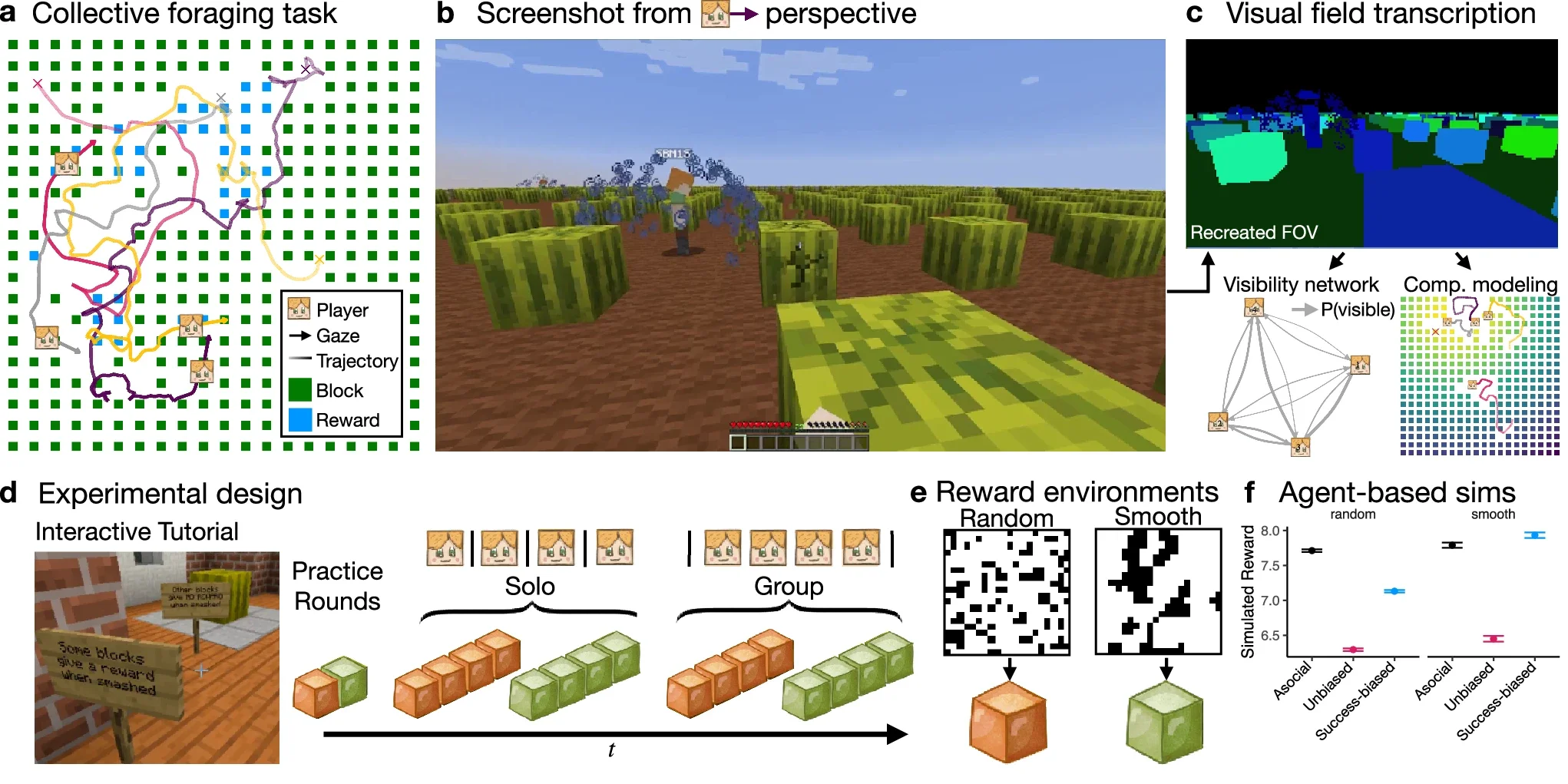 Collective foraging task implemented in the Minecraft game engine.