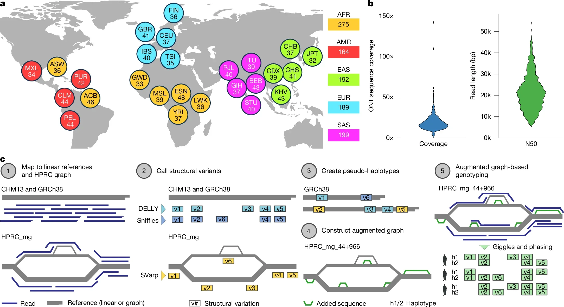 Breakdown of self-identified geographical ancestries for 1,019 long-read genomes representing 26 geographies (that is, populations) from 5 continental regions.