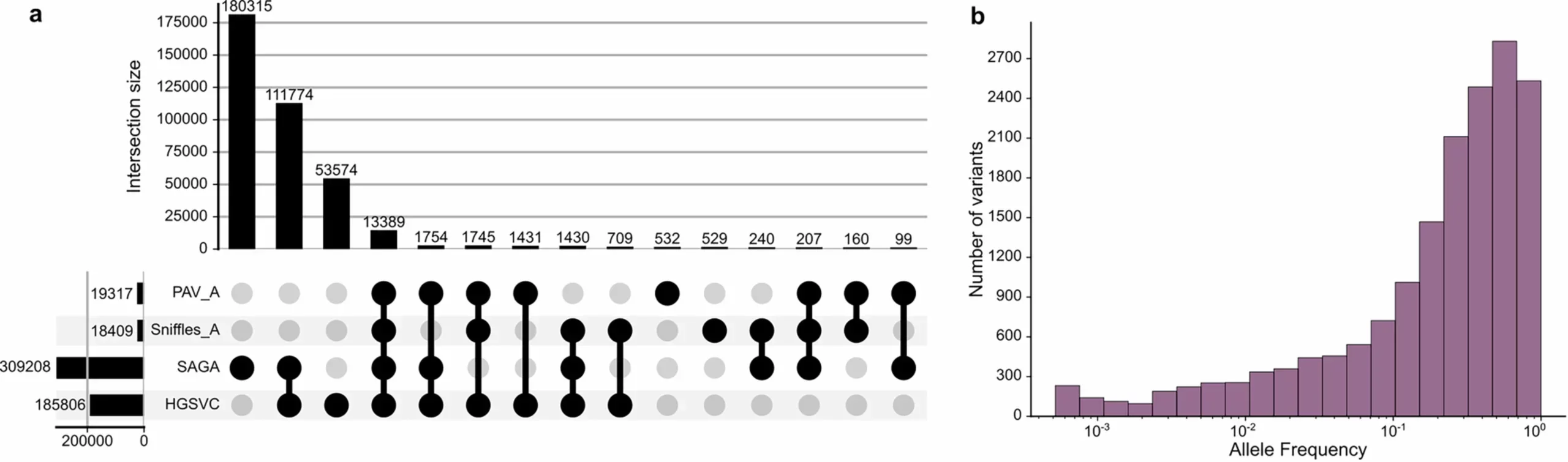 Patient Genome Analysis. Comparison between SV callsets from ‘rare disease patient A’.