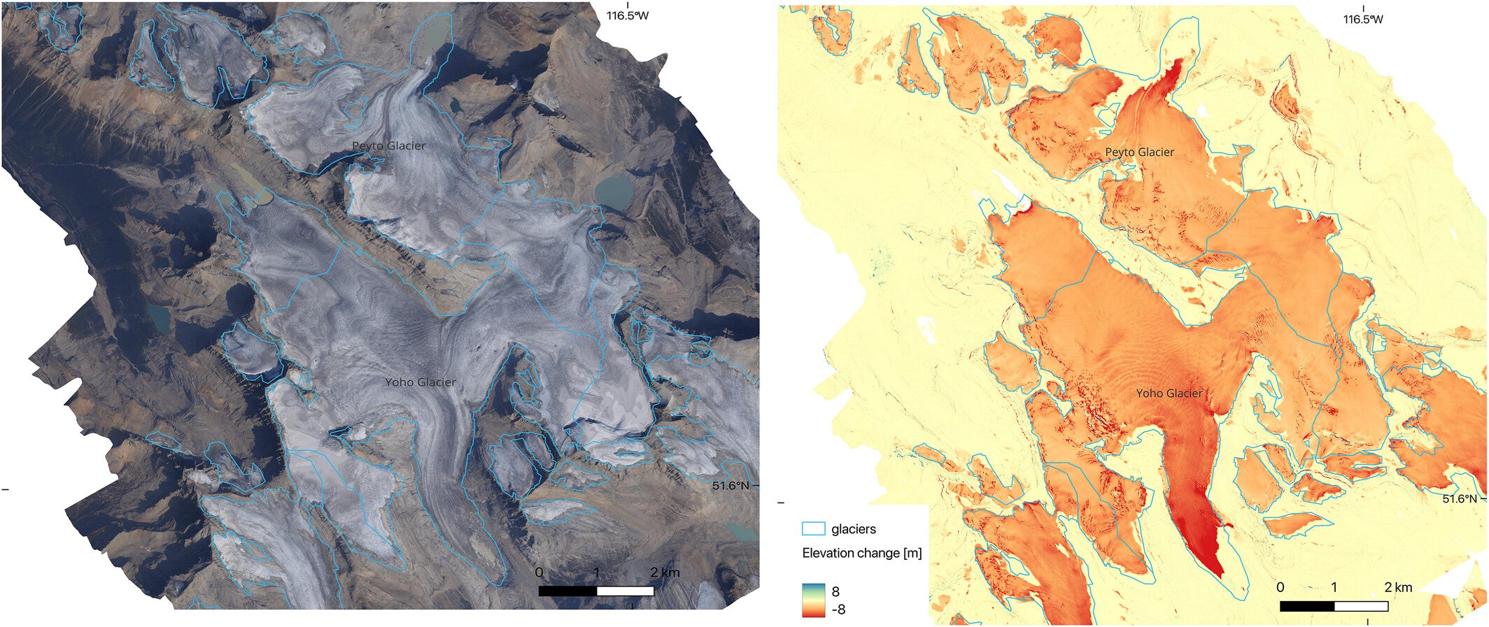 Orthoimage and glacier elevation change map of Yoho/Peyto Glaciers, British Columbia, Canada.