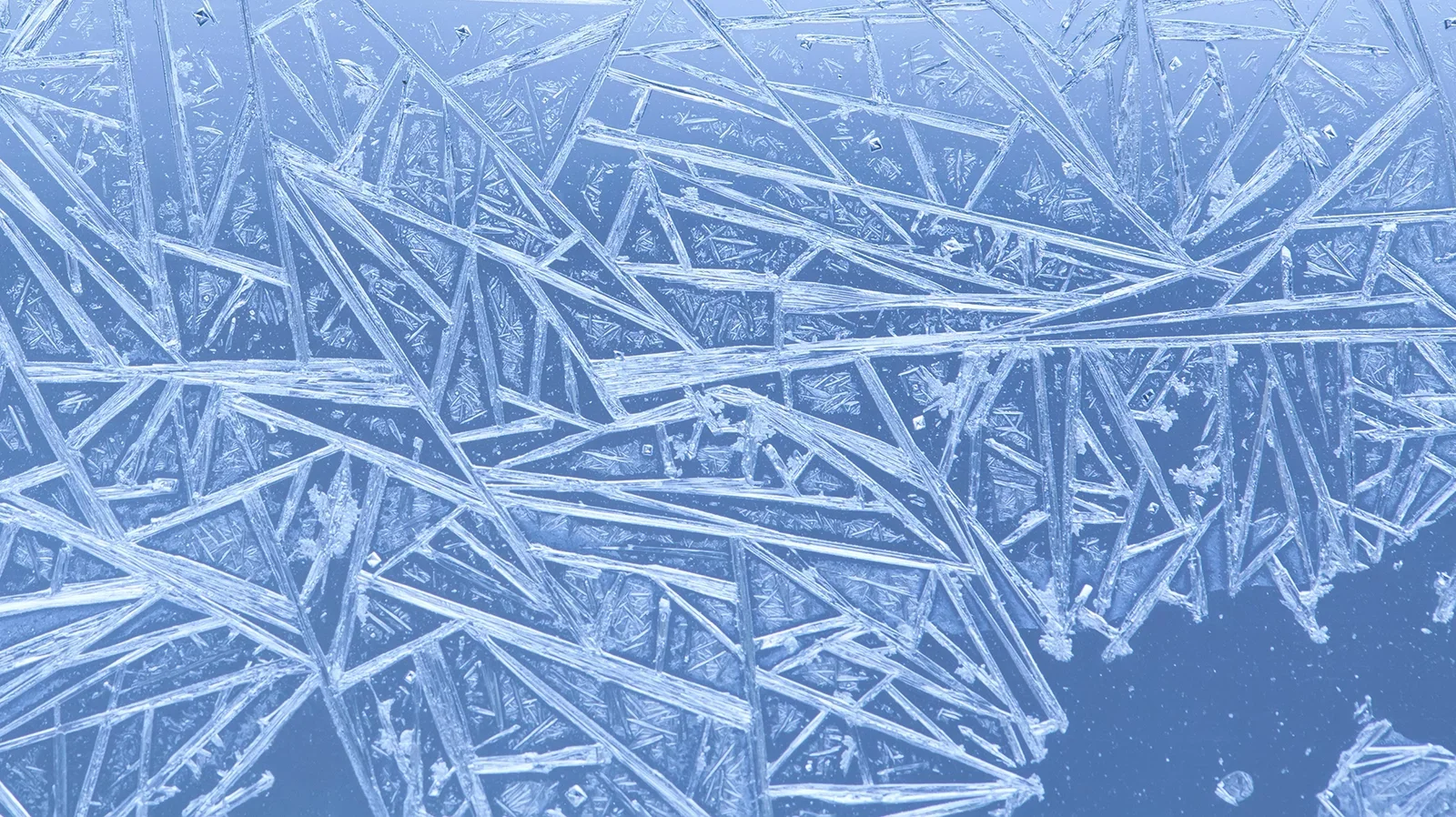In the cold vacuum between the stars, where temperatures drop far below freezing, scientists thought ice formed without order. 