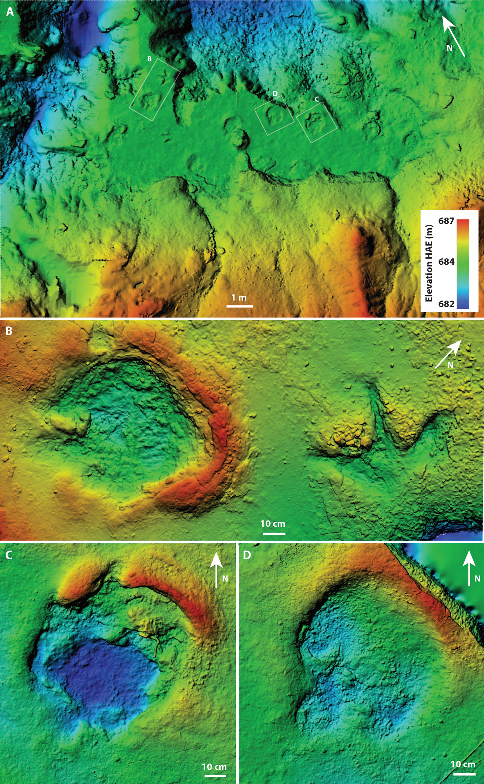 Photogrammetrically generated digital elevation model with heat map showing elevation of the Skyline Tracksite (A) and select individual prints (B–D).