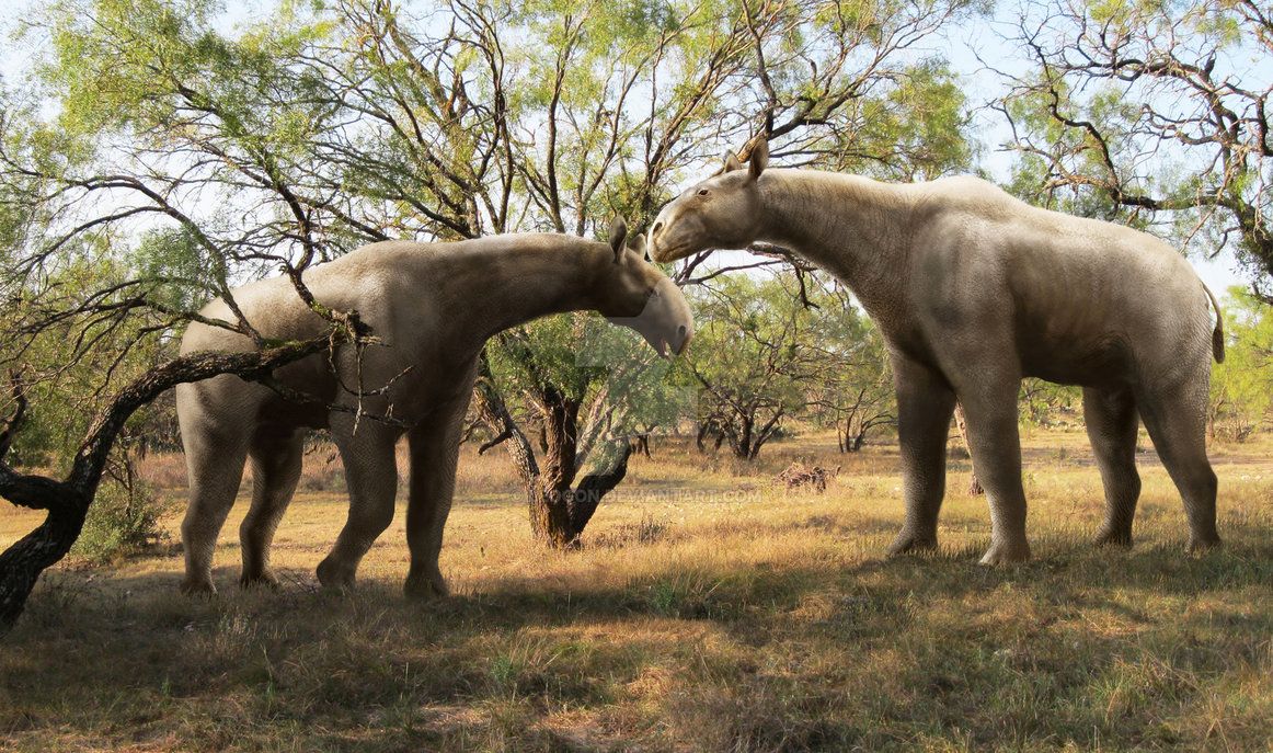 Researchers believe Paraceratherium needed to eat several hundred kilograms of plant material every day to maintain its energy. 