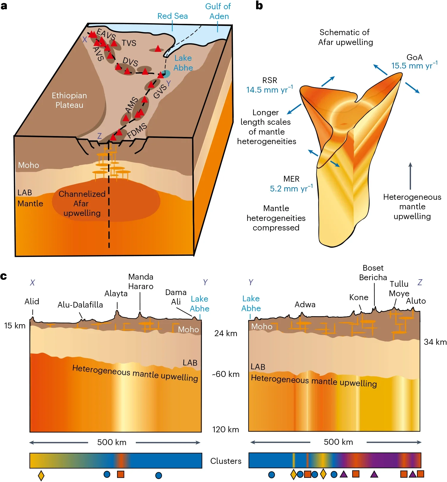 Spatially heterogeneous nature of the mantle upwelling beneath Afar.