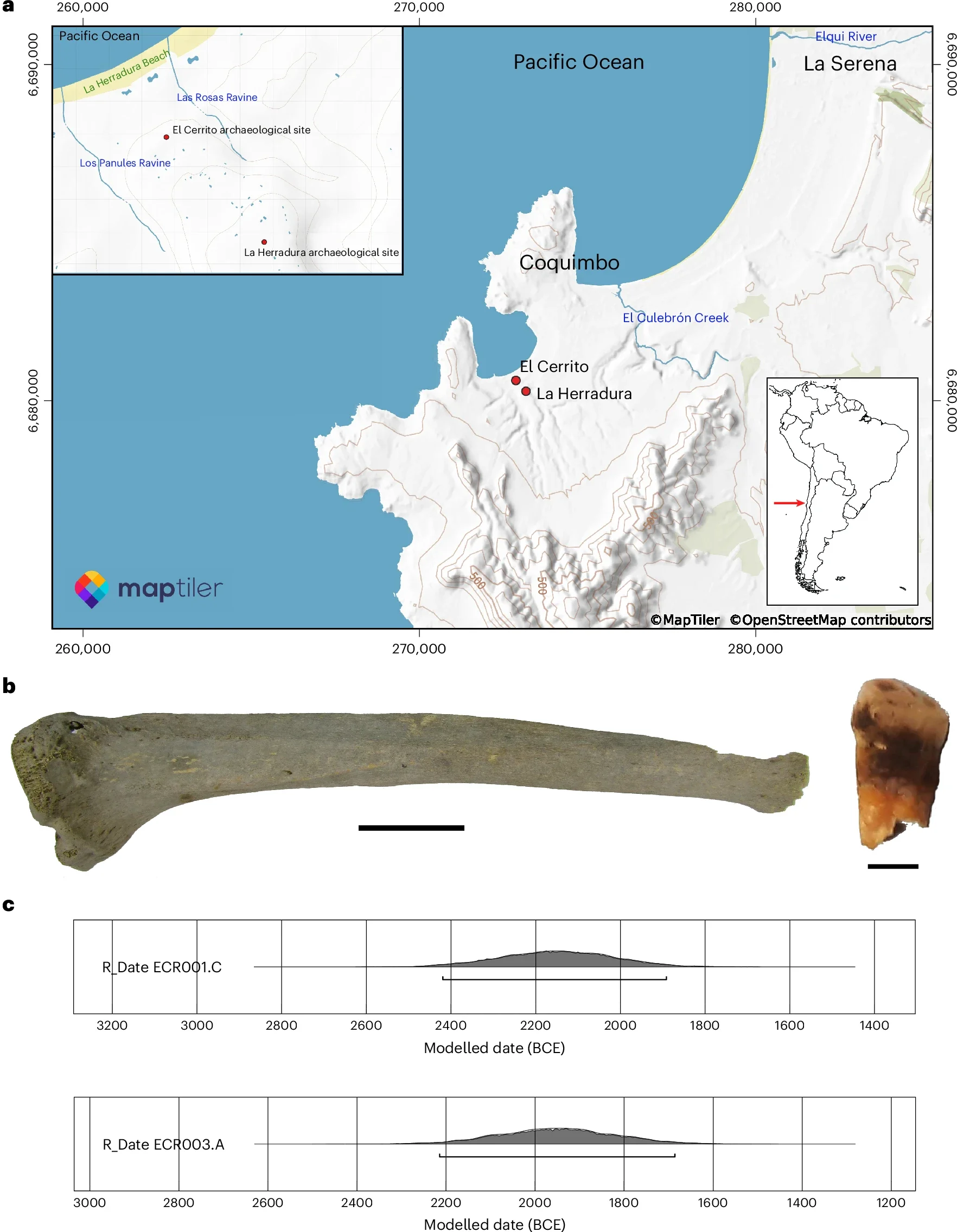 Archaeological context for the skeletal elements that yielded ancient M. lepromatosis DNA.