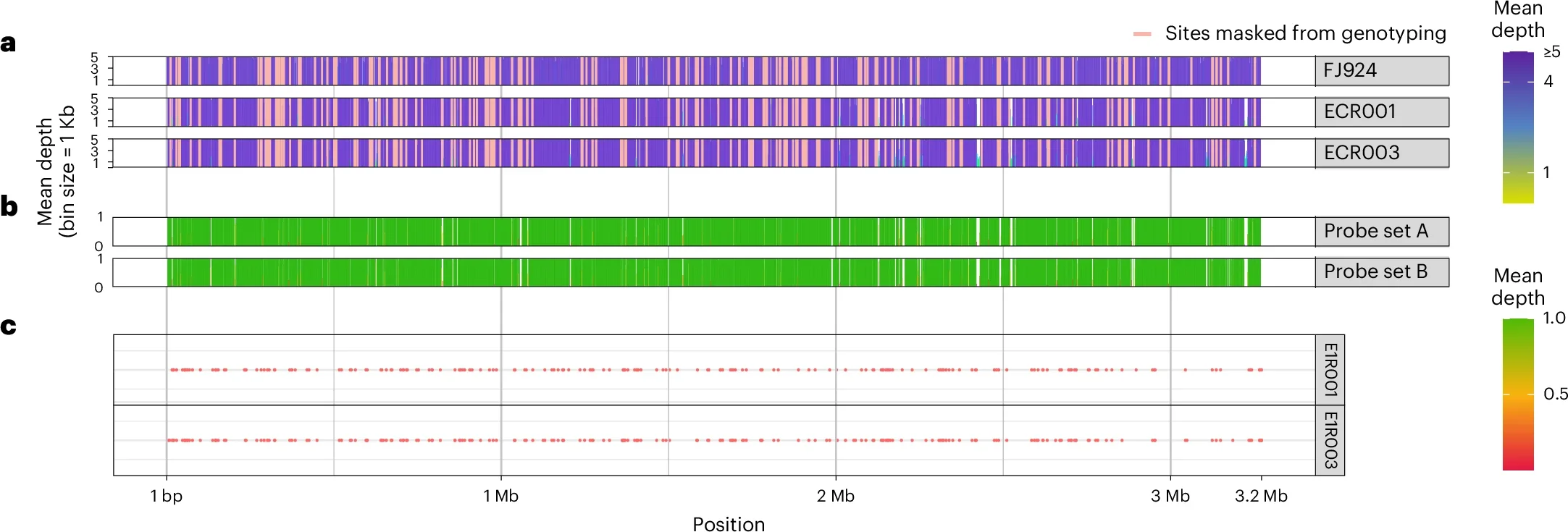 Overview of the recovery status of the newly identified ancient M. lepromatosis genomes.
