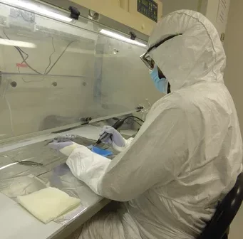 Darío Ramirez samples pathological bone in the ancient DNA facility at the Max Planck Institute for Evolutionary Anthropology.