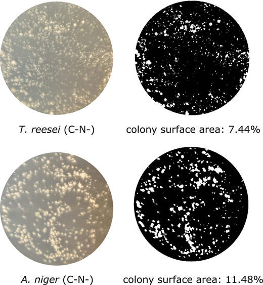 Results of fungal plating on selective medium after 45-day incubation, assessing the amount of live fungal cells