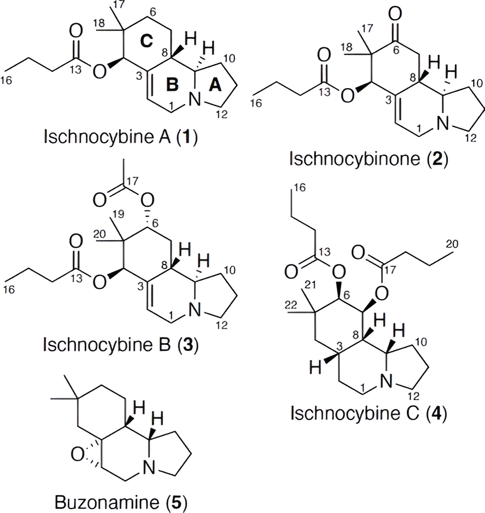 Key 2D NMR correlations and coupling constants