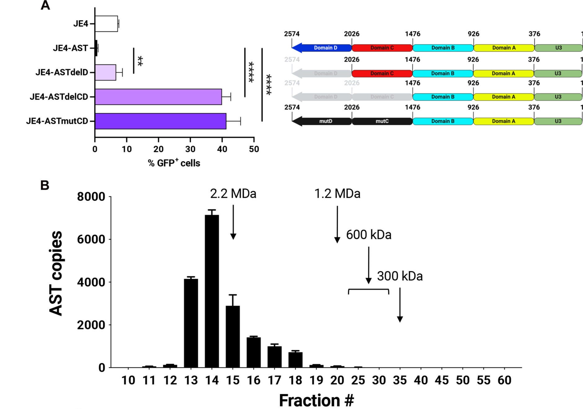 Domains C and D of AST contribute to the recruitment of additional chromatin factors.