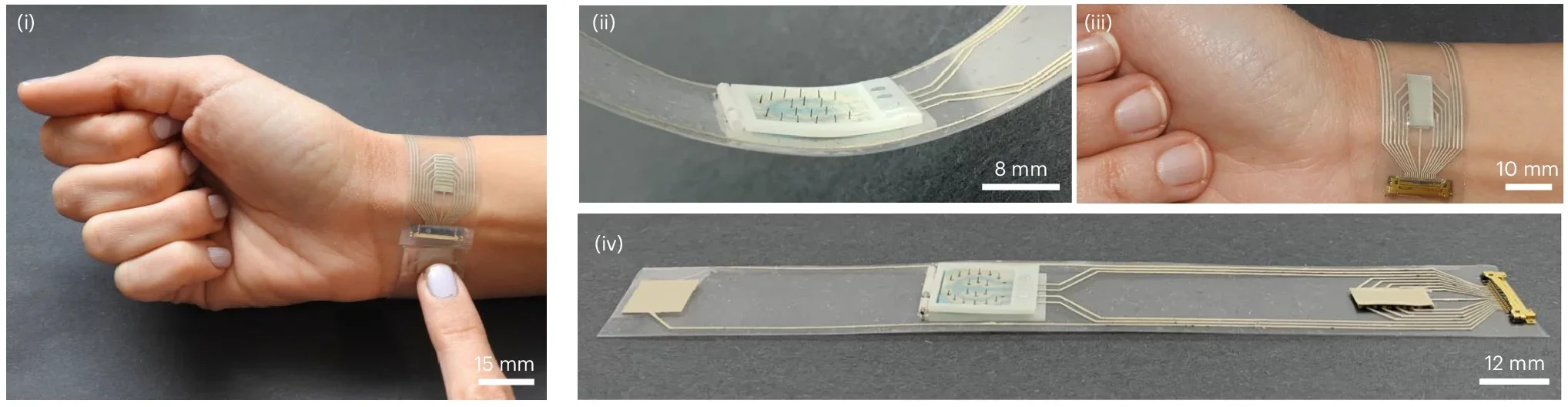 Multimodal monitoring system on a participant’s wrist (ECG) (i), an individual inverted microneedle sensor array (ii) and ultrasound BP transducers (iii) along with the entire wristband (iv).