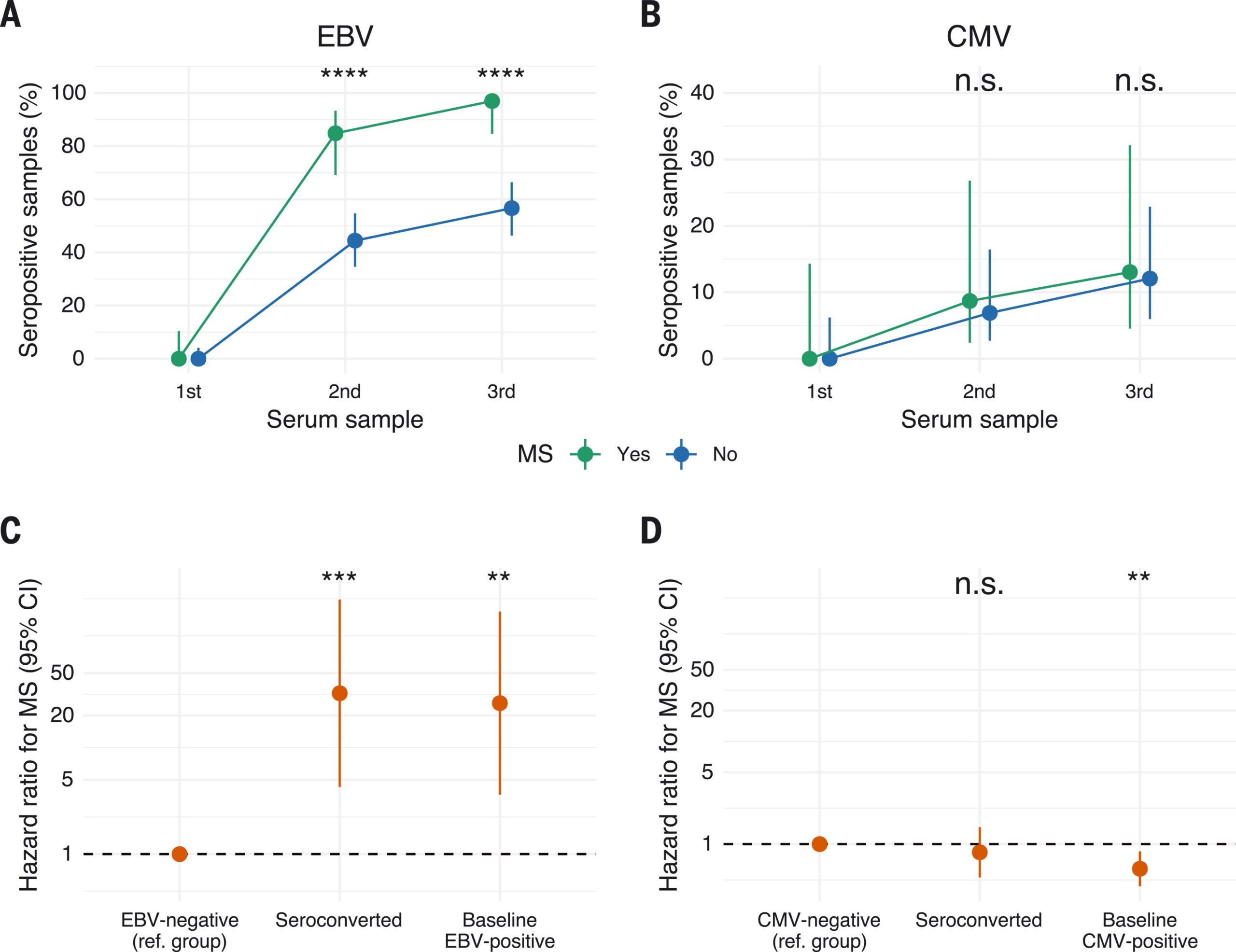 EBV infection precedes MS onset and is associated with markedly higher disease risk.