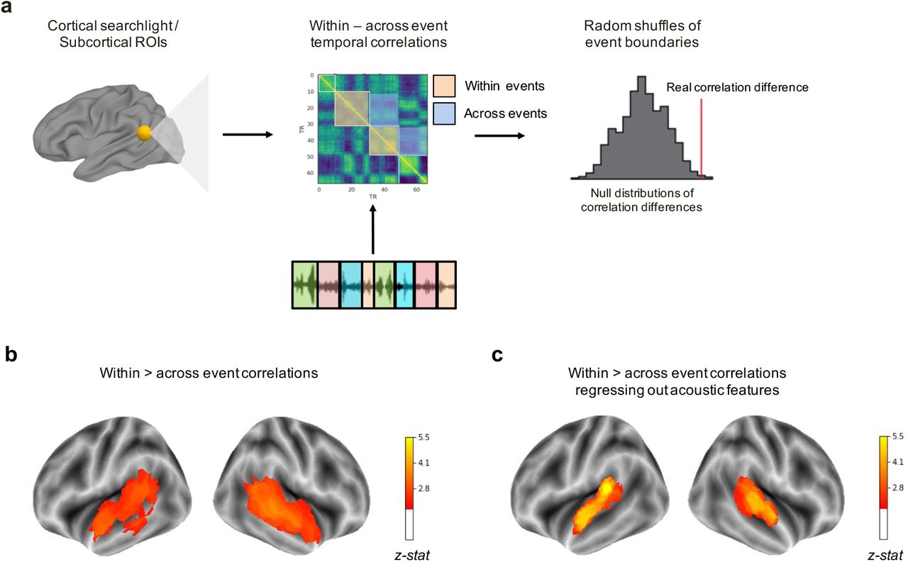 Brain regions sensitive to emotion transitions.