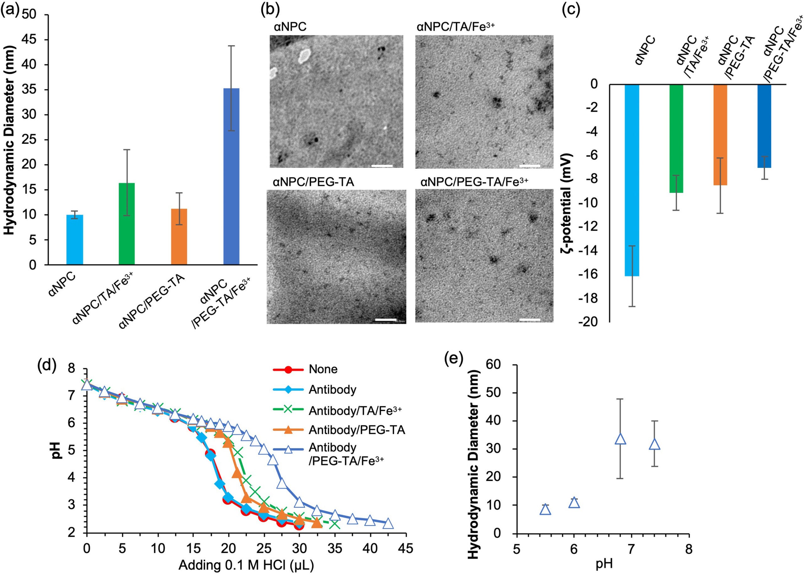 Characterization of the antibody-loaded MPN complex.