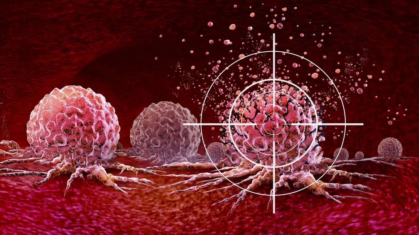 AI-designed minibinders help immune cells kill cancer faster, opening the door to precision therapies in just weeks.