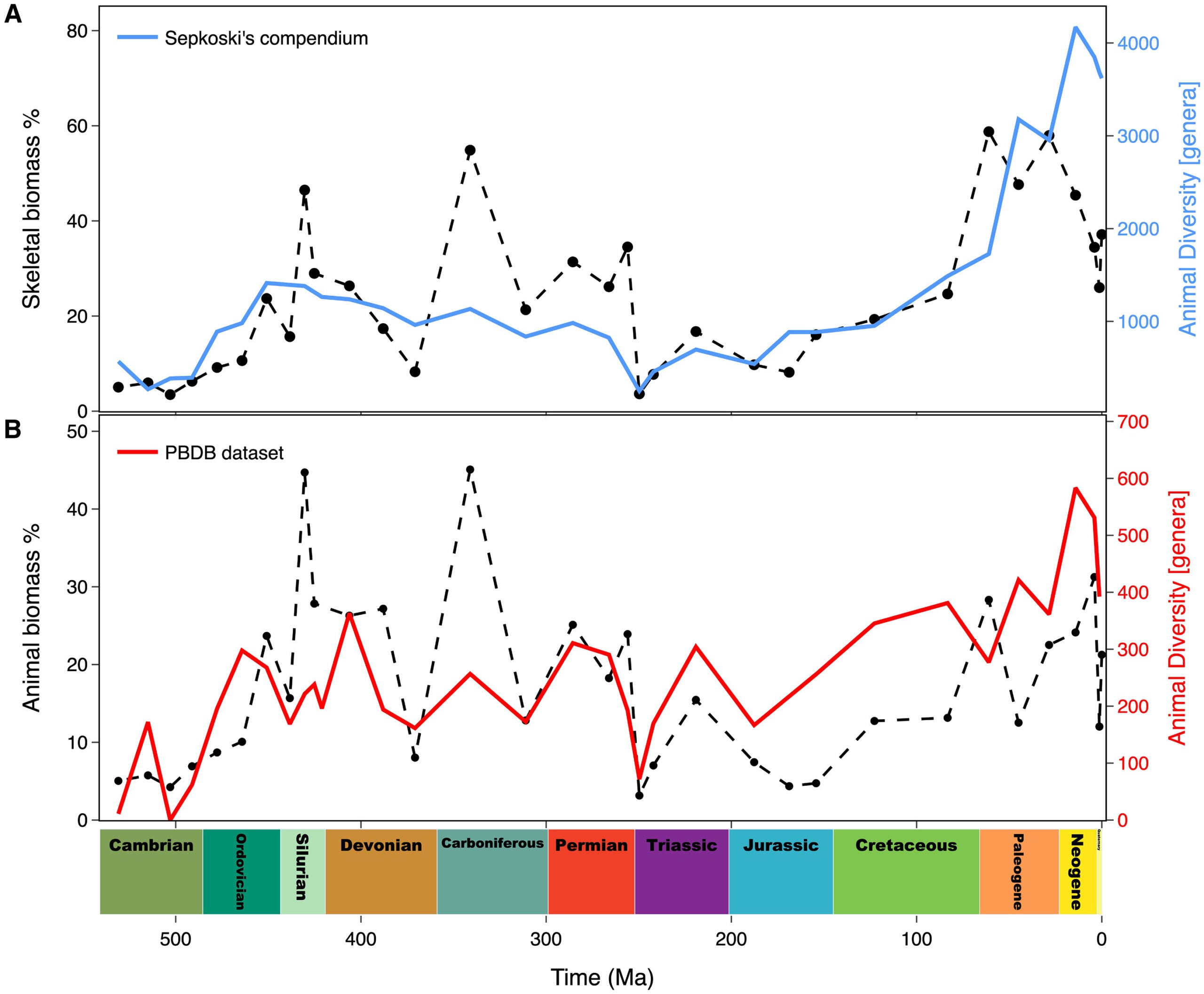 Comparison of biomass and biodiversity of animals across the Phanerozoic