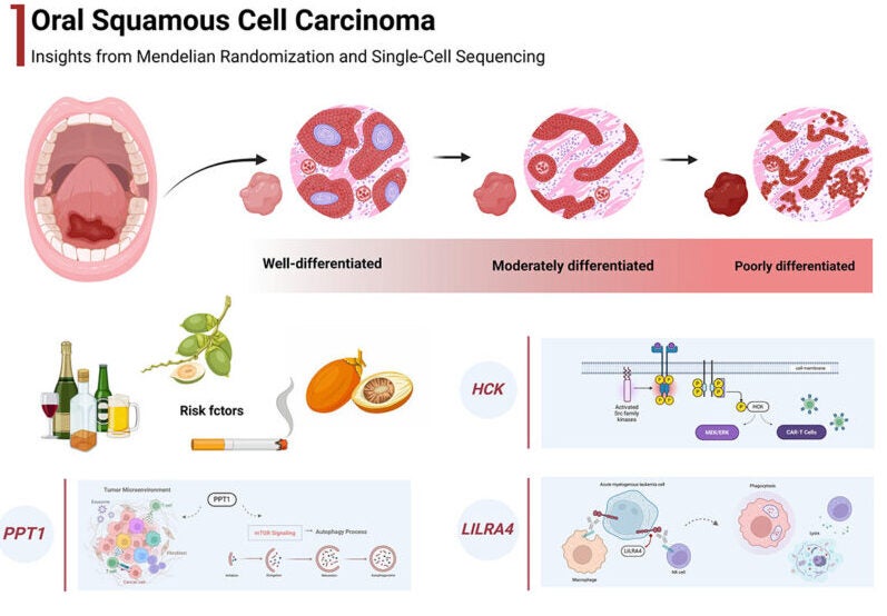 Graphical abstract. Molecular landscape of oral squamous cell carcinoma.