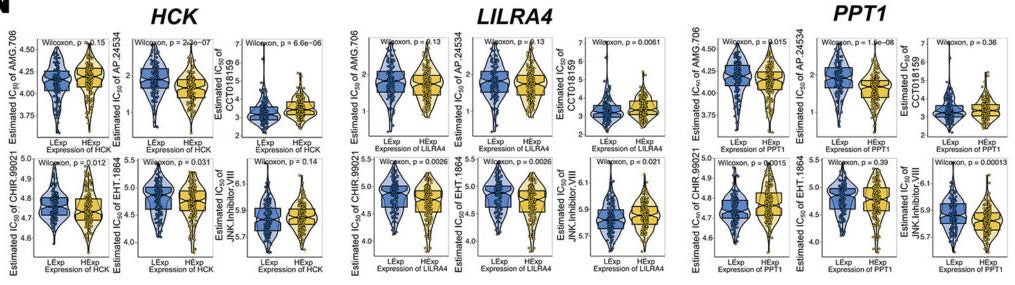 Drug sensitivity correlation of key genes.