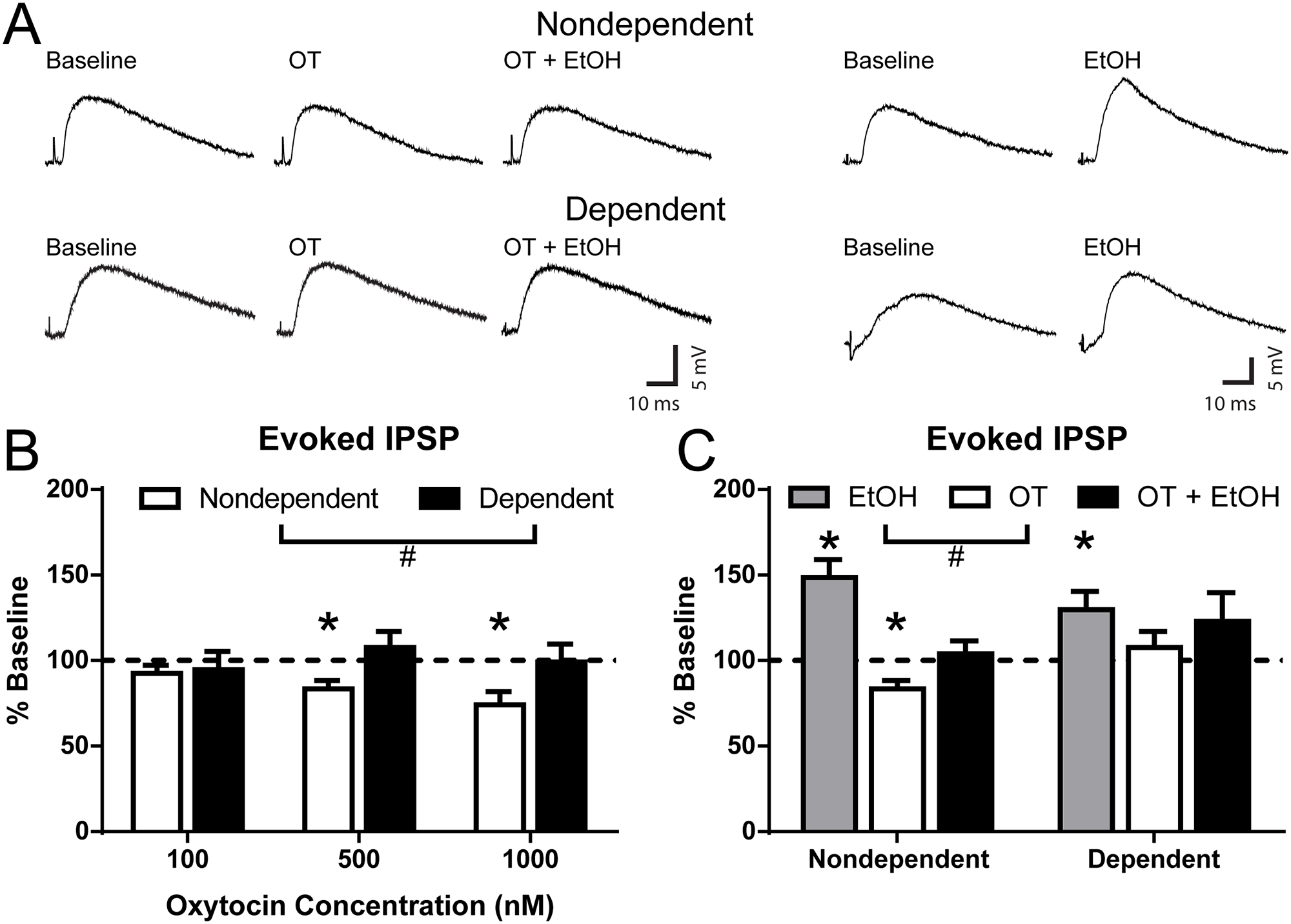 Oxytocin decreases locally evoked CeA GABAergic signaling and blunts alcohol effects.