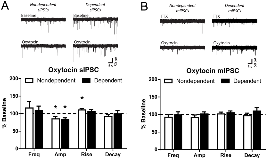Oxytocin decreases postsynaptic CeA spontaneous GABAergic transmission and blocks presynaptic alcohol effects.