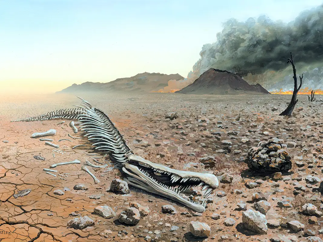 Scientists discover what wiped out global ocean life 200 million years ago