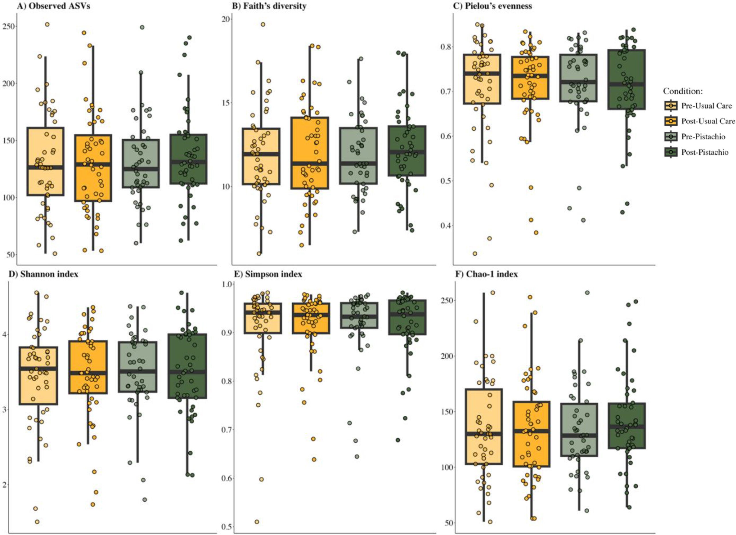 Microbial community α-diversity at each timepoint.