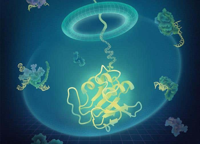 New AI tool AiCE speeds up protein engineering with better accuracy and lower costs.
