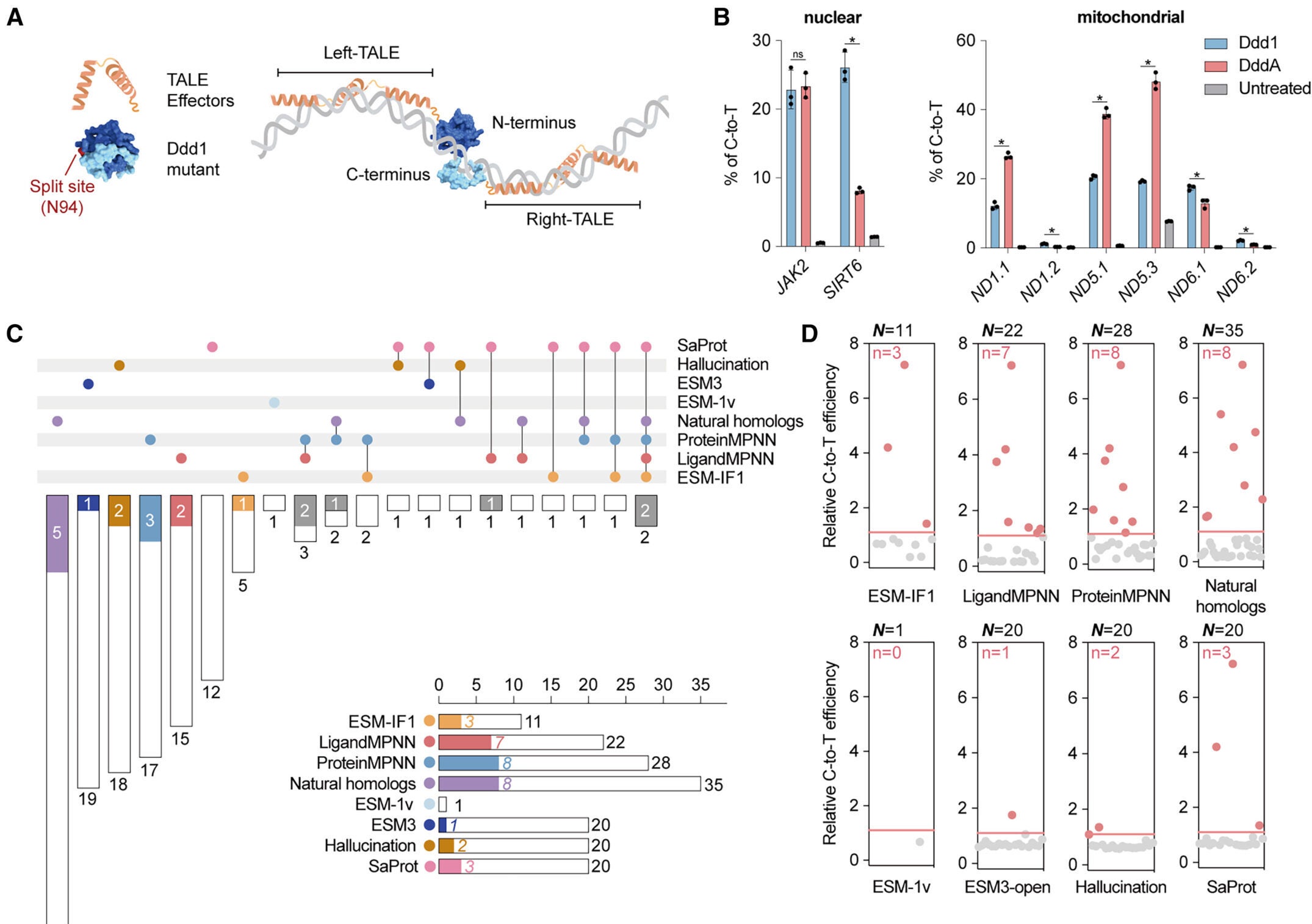 Multi-method-based evolution of the double-stranded DNA deaminase Ddd1 for environmental fitness