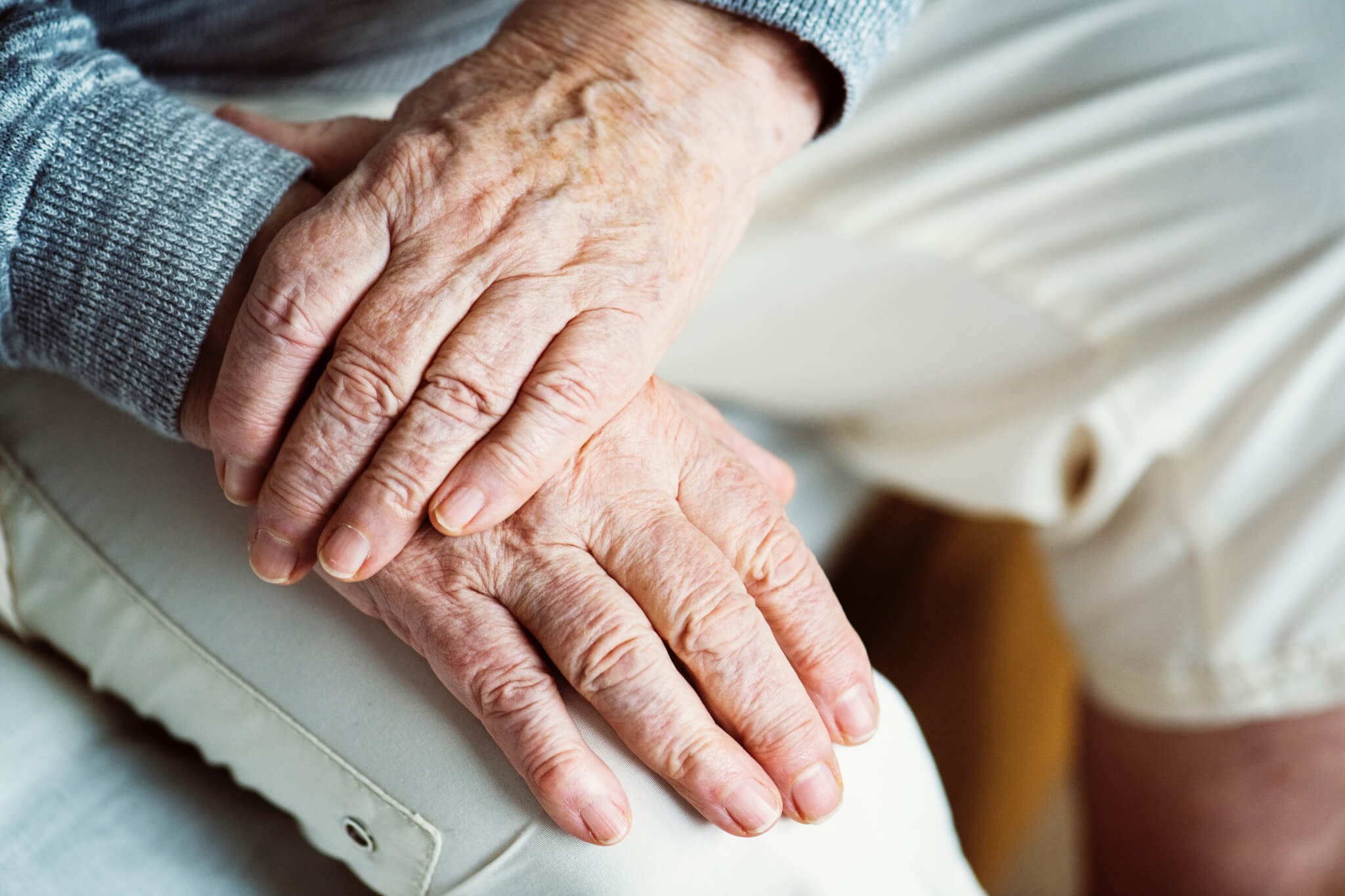 Scientists at Korea University have identified how aging signals travel through the bloodstream, pinpointing a protein called HMGB1 that carries cellular damage from one tissue to distant organs.