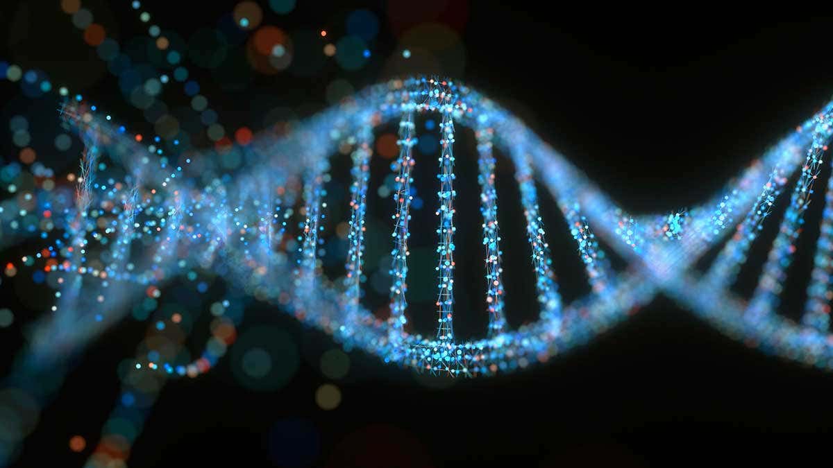 AI breakthrough predicts how mRNA makes proteins inside the body