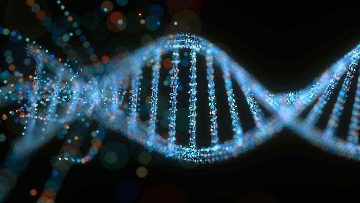 New AI model predicts mRNA protein output, aiding drug and vaccine design by targeting specific cells.