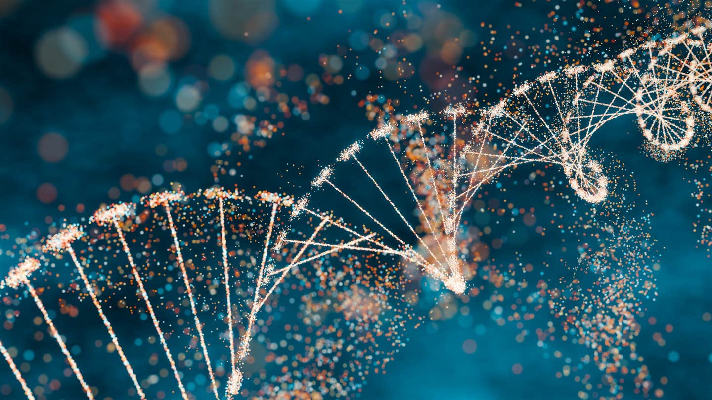 Ancient viral DNA once dismissed as junk may control genes and shape early human development