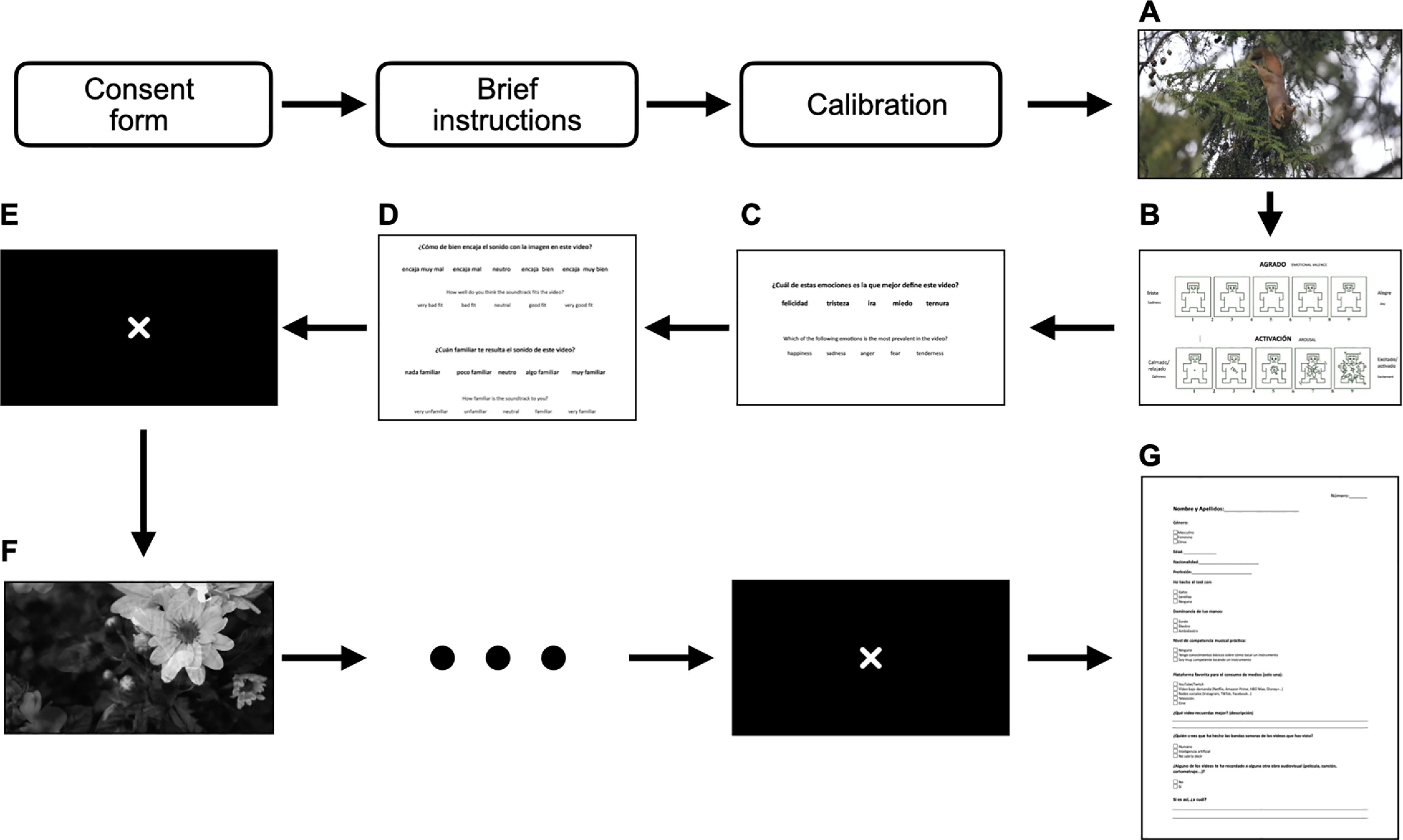 Procedure of the experiment.