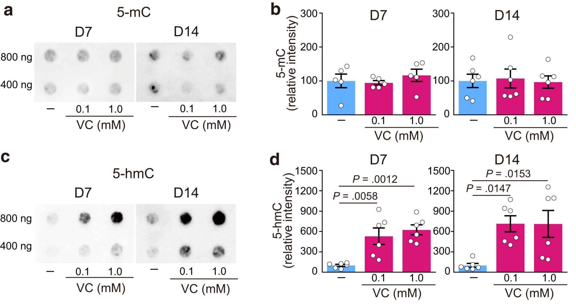 VC increases 5-hmC levels in human epidermal equivalents.