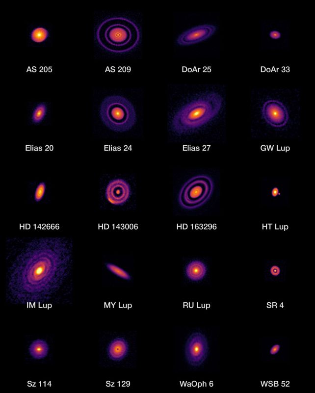 ALMA has captured images of several protoplanetary disks, some showing clear gaps that hint at newborn planets taking shape.
