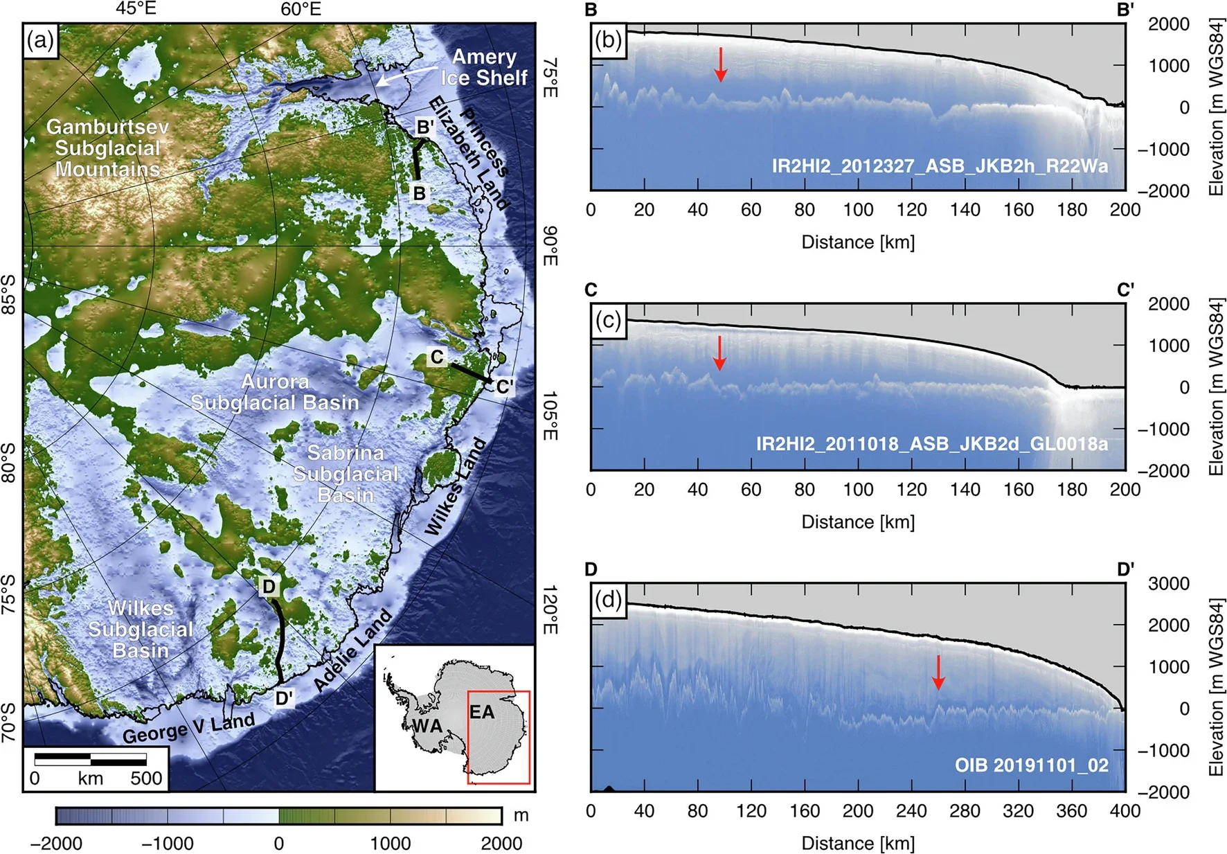 Coast-orthogonal radar profiles crossing the flat surfaces.