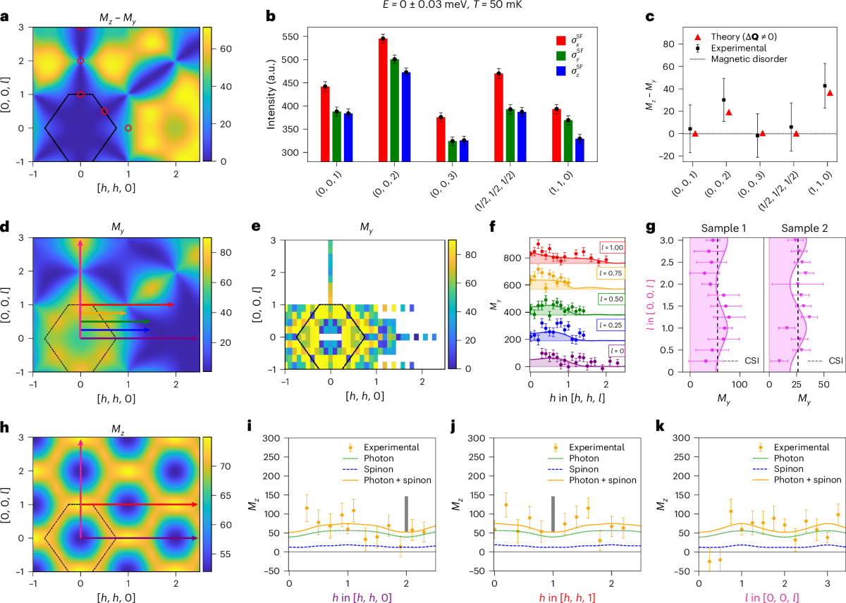 Wavevector and polarization dependencies of magnetic scattering