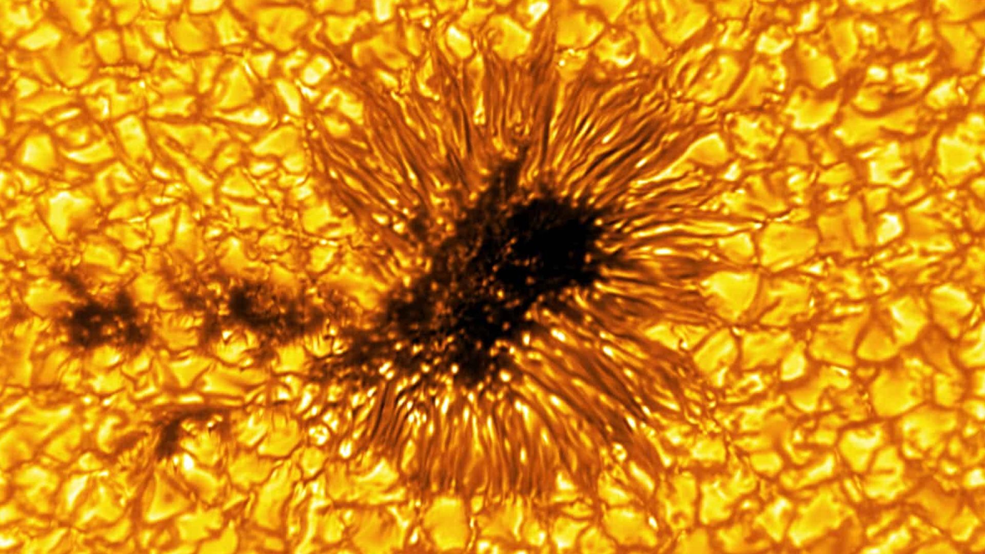 a close-up image of a sunspot An image from the Daniel K. Inouye Solar Telescope.