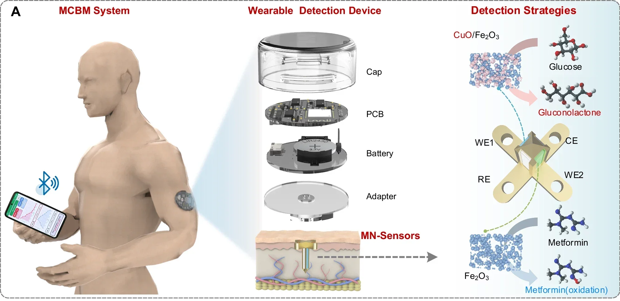 The concept of smartphone-based MCBM system for continuous dual monitoring of glucose/metformin and pharmacologically driven therapy.