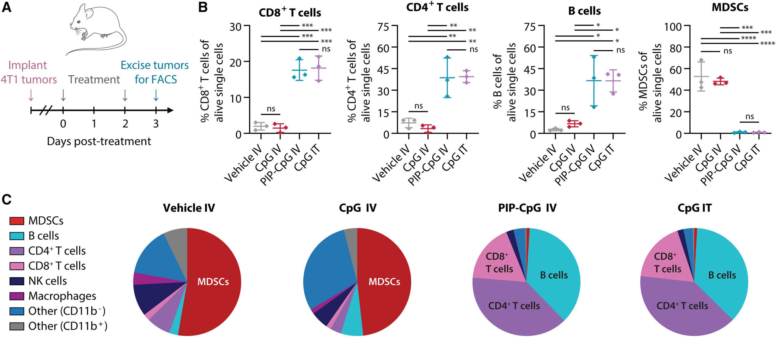 PIP-CpG transforms the immune landscape of 4T1 tumors. 4T1 cells were implanted subcutaneously in one side of the abdomen of BALB/c mice.