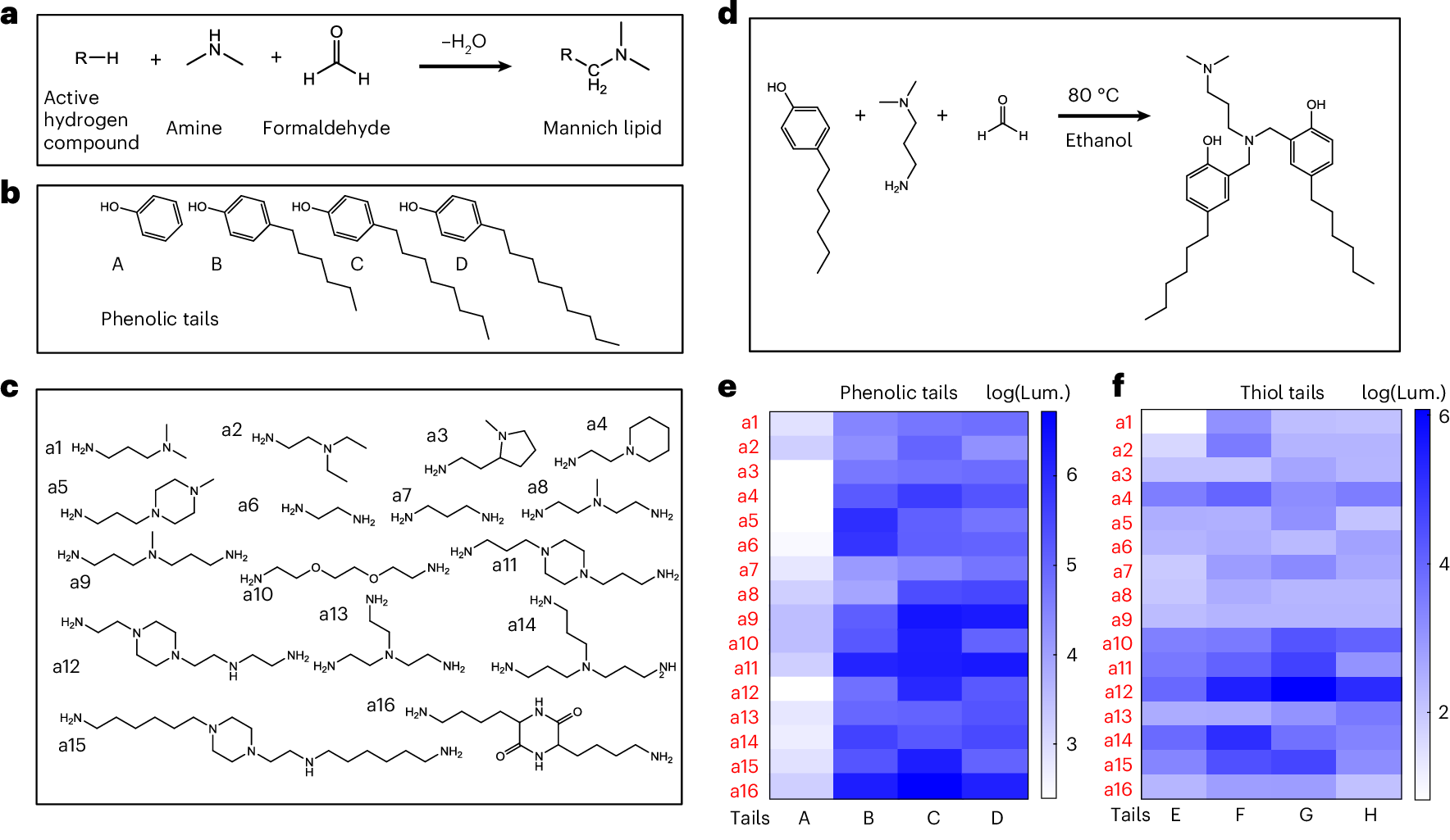 Synthesis and evaluation of six combinatorial libraries of Mannich ionizable lipids for mRNA delivery.