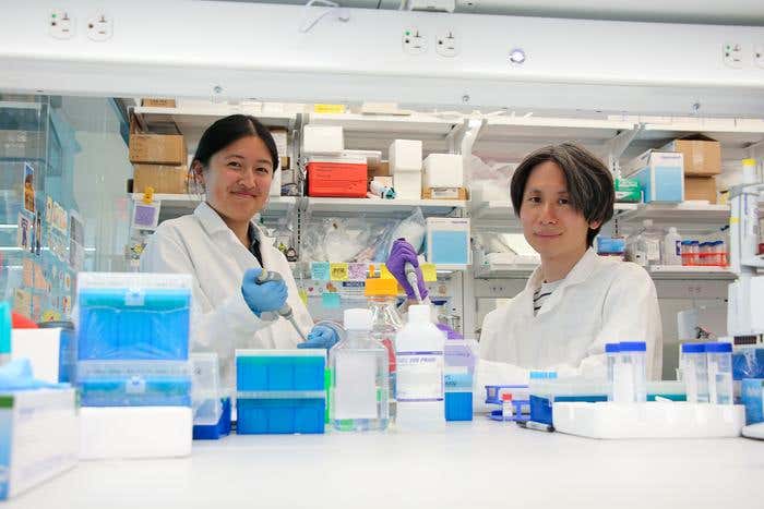 Penn Engineering researchers Emily Han and Dongyoon Kim, from left