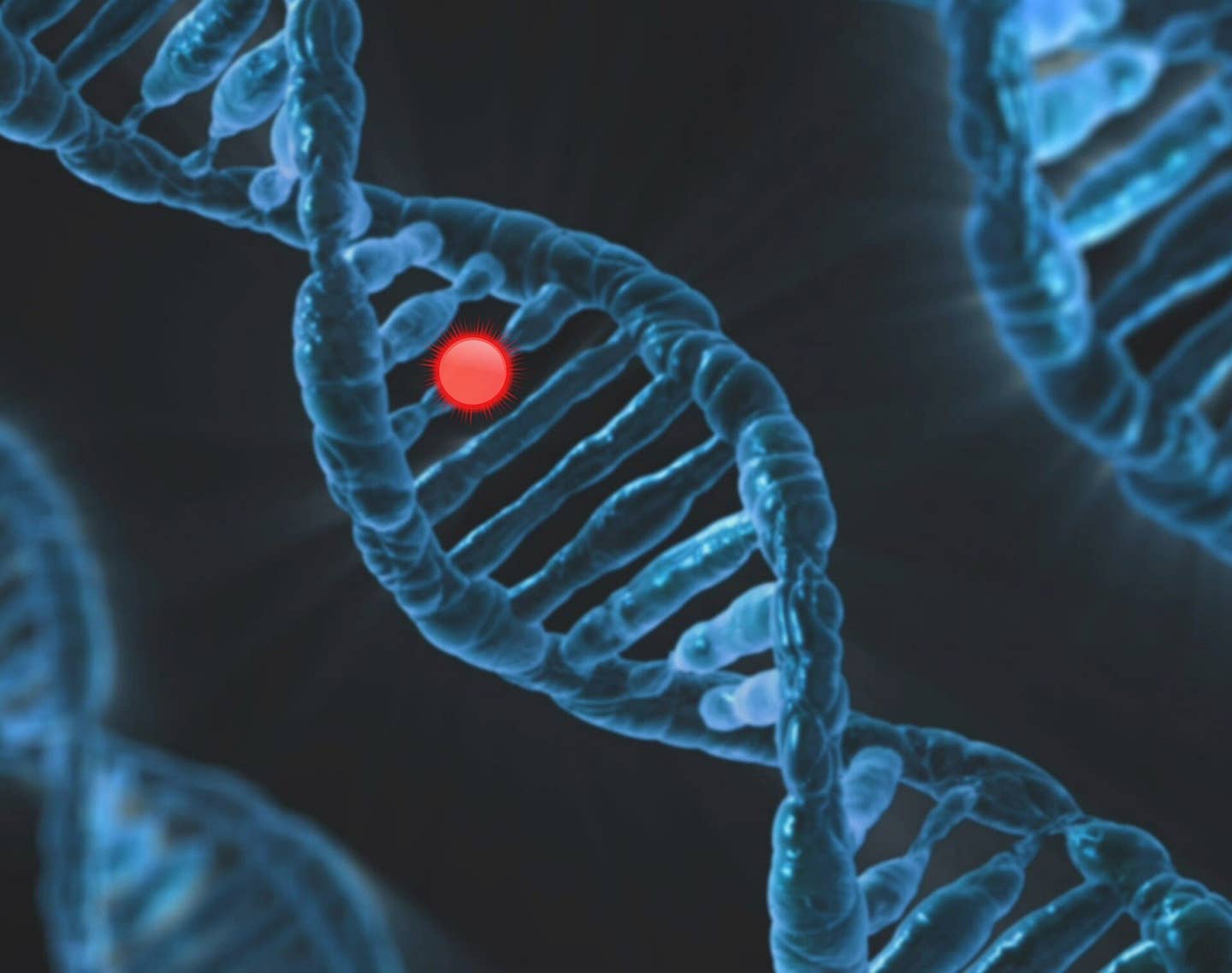 Gene SDR42E1 may stop cancer growth and aid vitamin D therapies, new research shows.