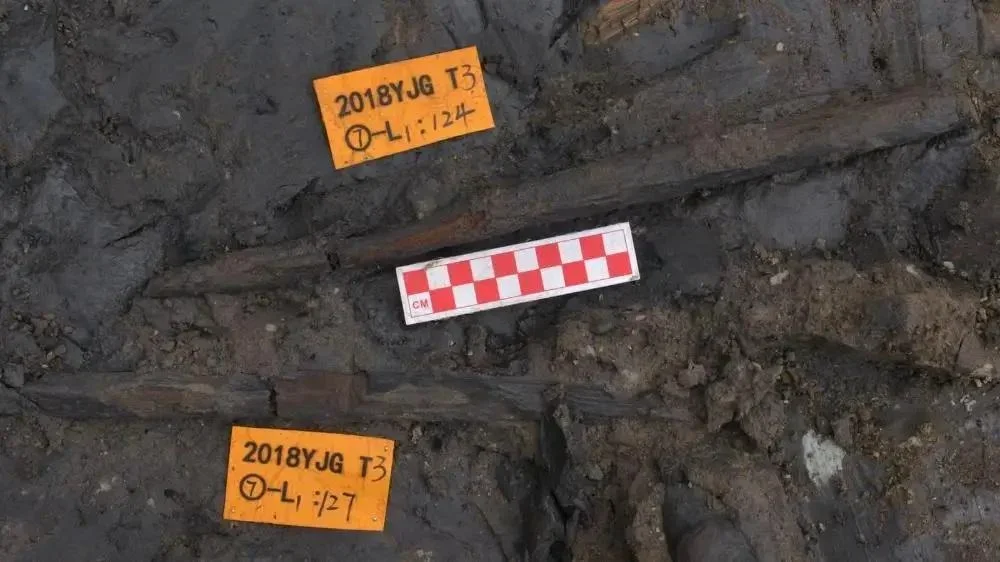 One of the wooden tools being excavated at the site.