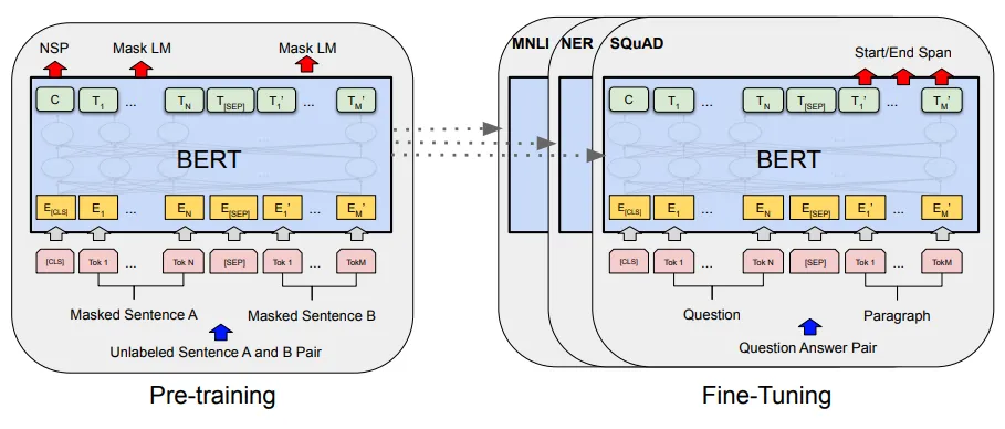 A schematic depiction of the BERT model and its training process