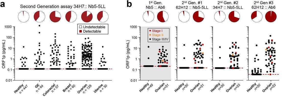 Improved detection of ORF1p with second- and third-generation assays.