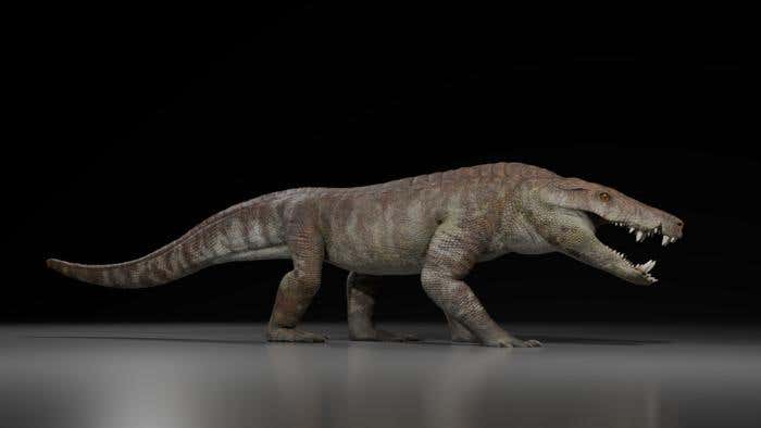 Kostensuchus atrox – life restauration, 3 meters long. Art by Gabriel Diaz Yanten.