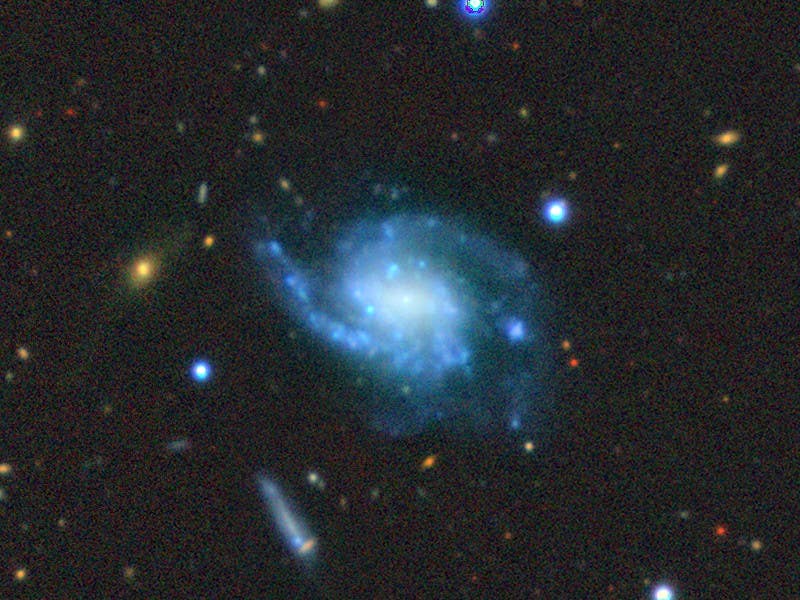Spiral galaxy NGC 4141